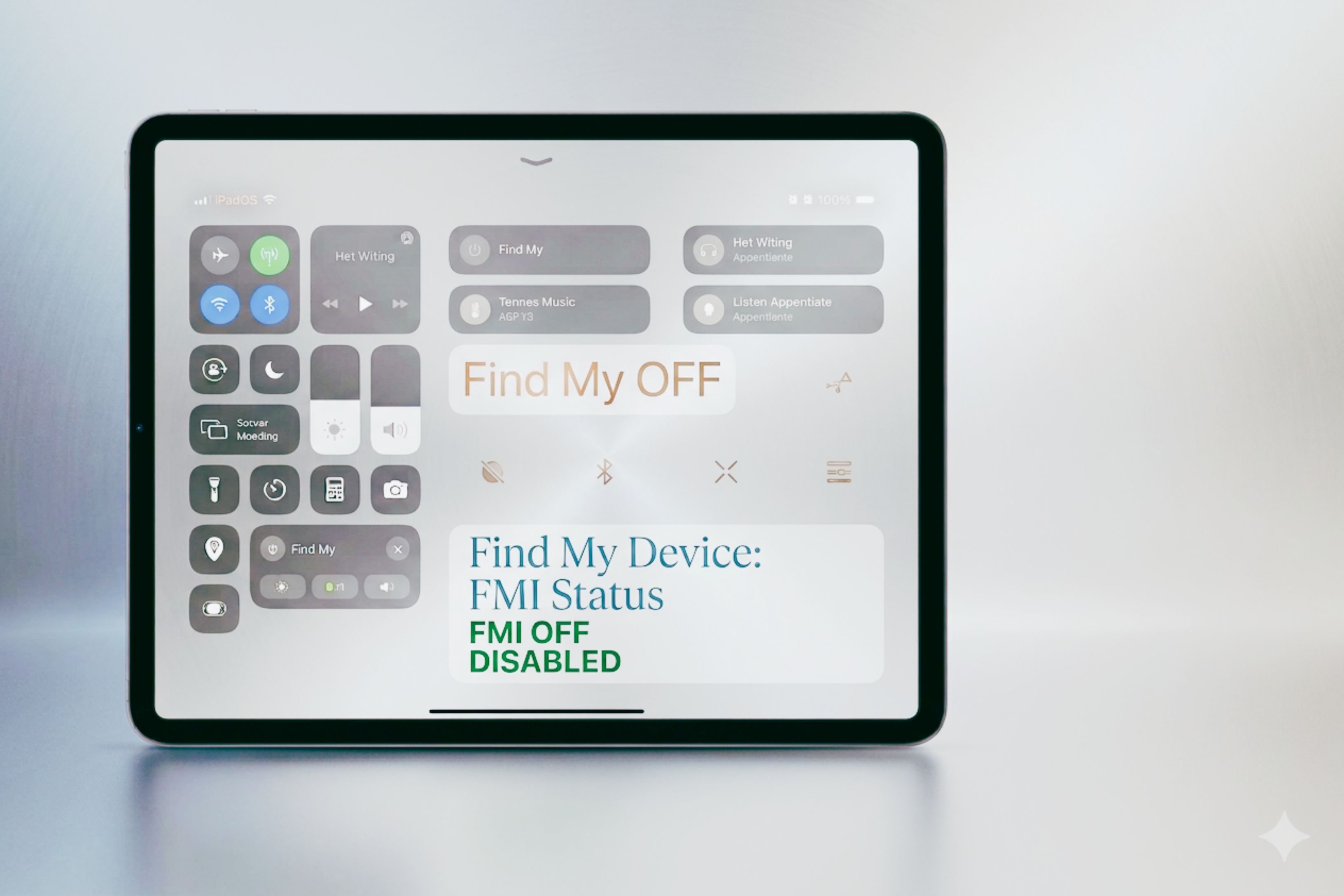 Auto - iPad Pro 11-inch M4 Wi-Fi - (iPad16,3) FMI OFF INSTANT